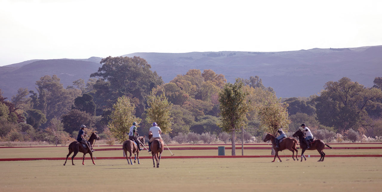 Polo - Estancia La Paz