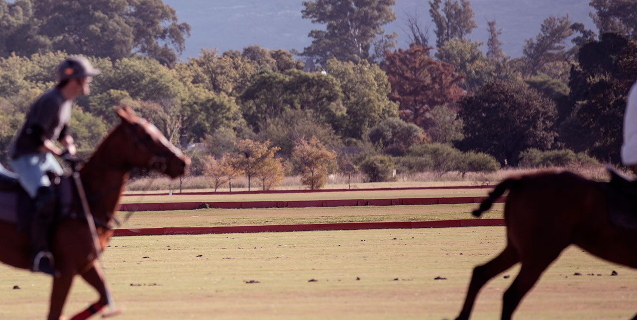 Polo - Estancia La Paz